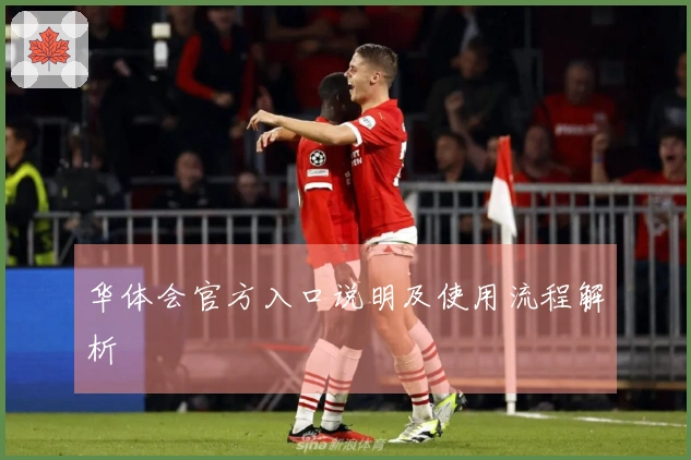 华体会官方入口说明及使用流程解析